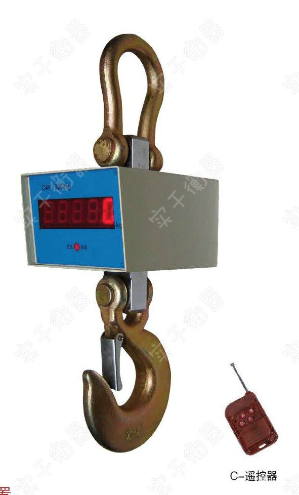 防爆吊秤02.jpeg