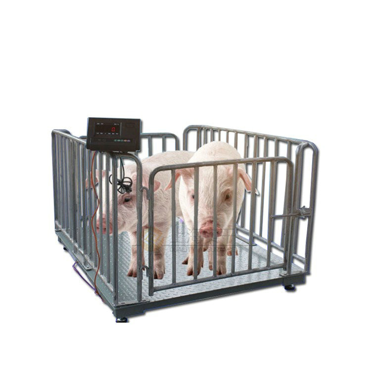 計數(shù)電子畜牧秤