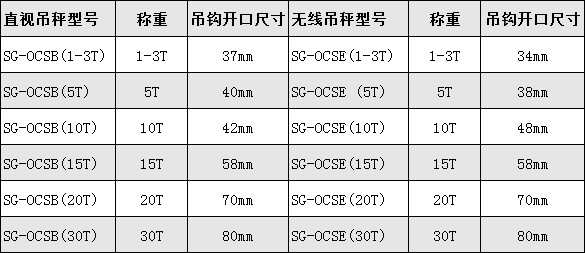 高精度電子吊磅
