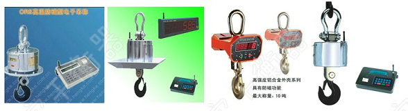 福建電子吊鉤秤
