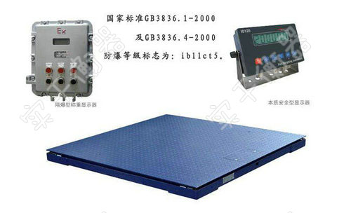 防爆地磅秤